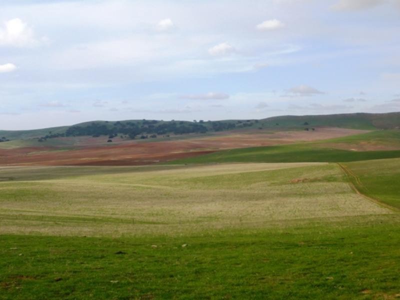 “Koonoona” Springbank Road, Burra SA 5417