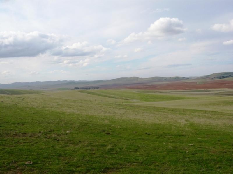 “Koonoona” Springbank Road, Burra SA 5417