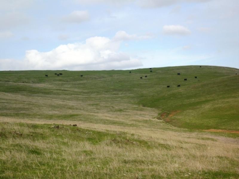 “Koonoona” Springbank Road, Burra SA 5417