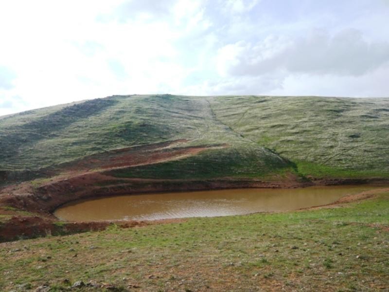 “Koonoona” Springbank Road, Burra SA 5417