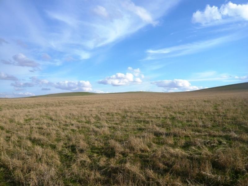 “Koonoona” Springbank Road, Burra SA 5417