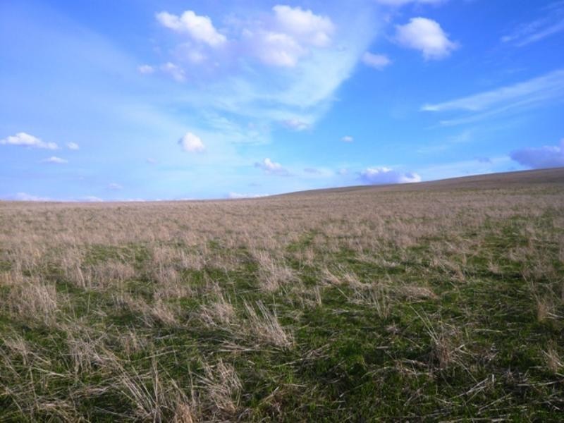 “Koonoona” Springbank Road, Burra SA 5417