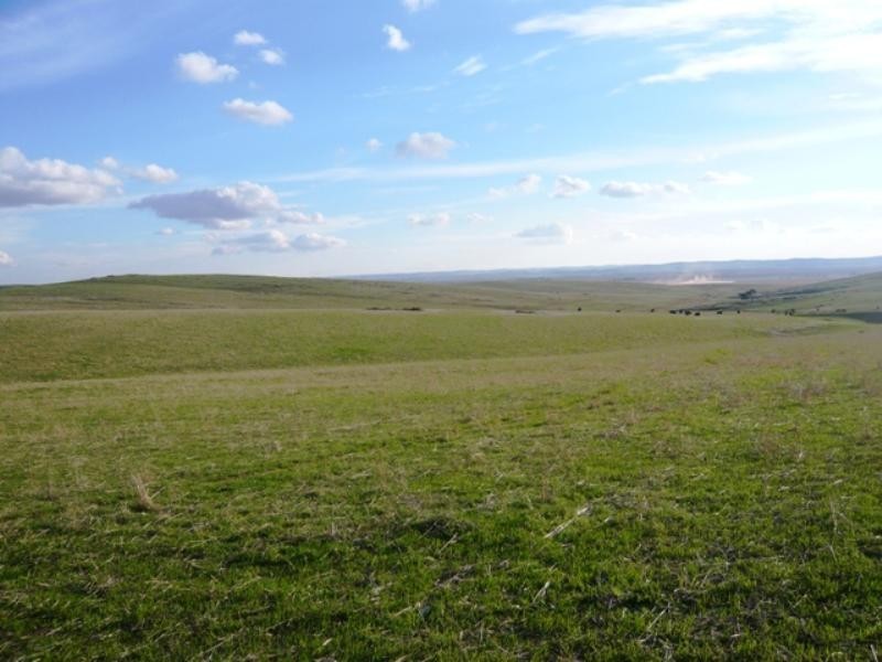 “Koonoona” Springbank Road, Burra SA 5417