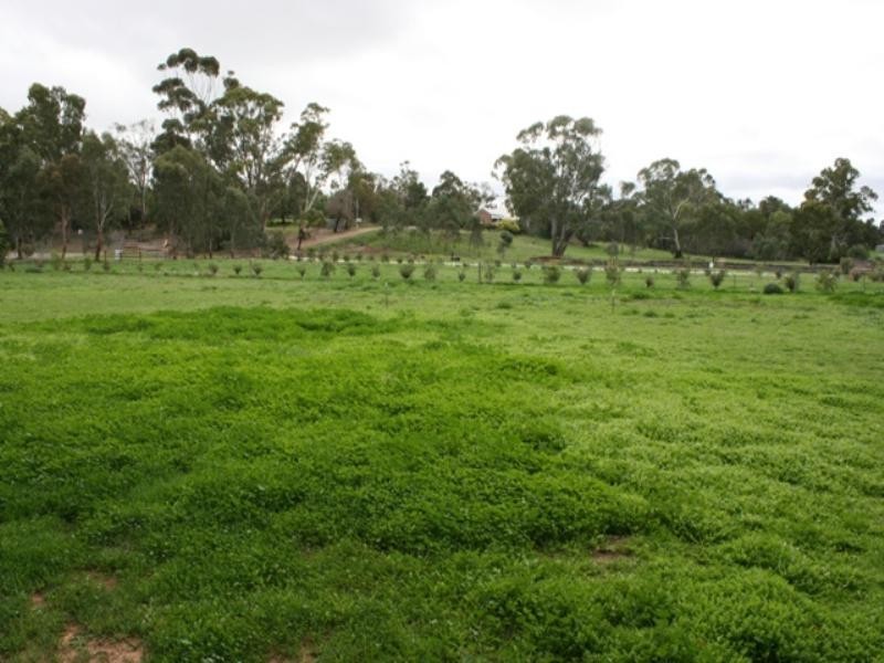 Lot 91 Church Street, Mintaro SA 5415