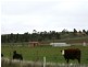 Lot 428 Government Road, Burra SA 5417
