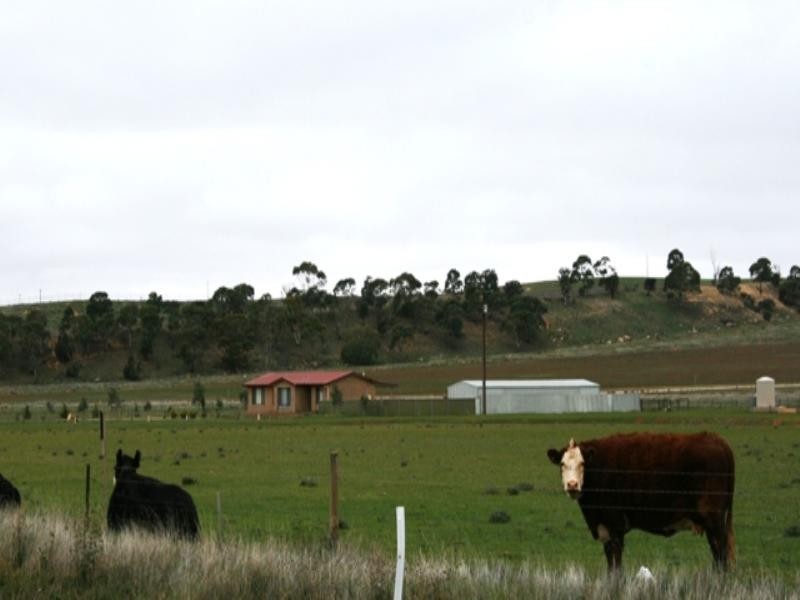 Lot 428 Government Road, Burra SA 5417