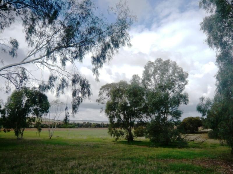 Sec 55 Riverblocks Road, Yacka SA 5470