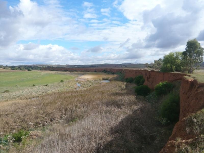 Sec 55 Riverblocks Road, Yacka SA 5470