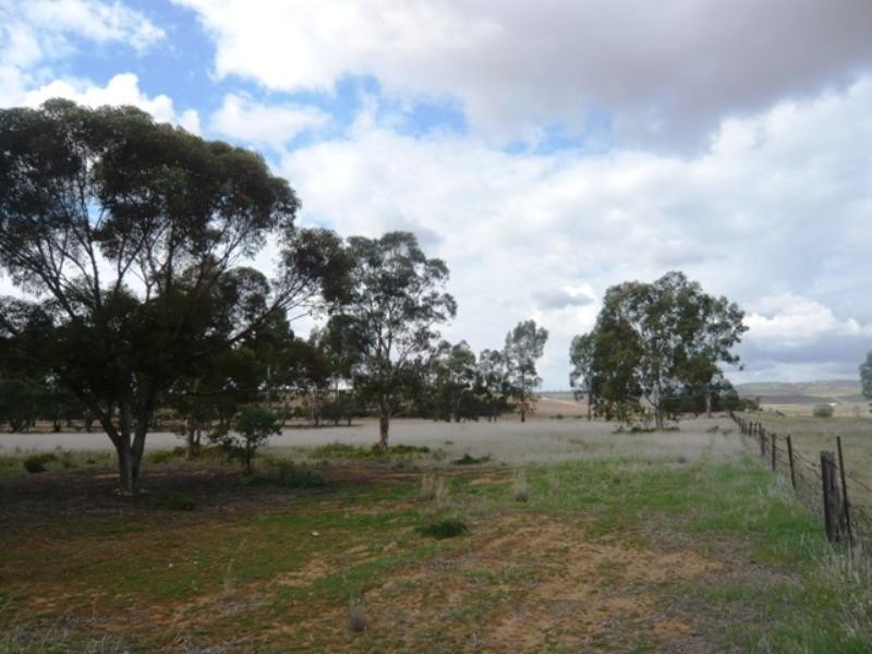 Sec 55 Riverblocks Road, Yacka SA 5470