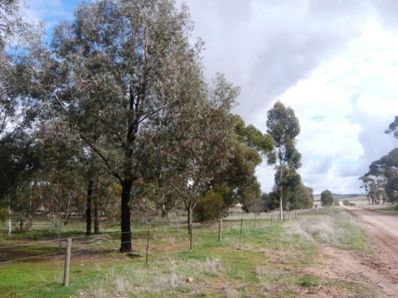 Sec 55 Riverblocks Road, Yacka SA 5470
