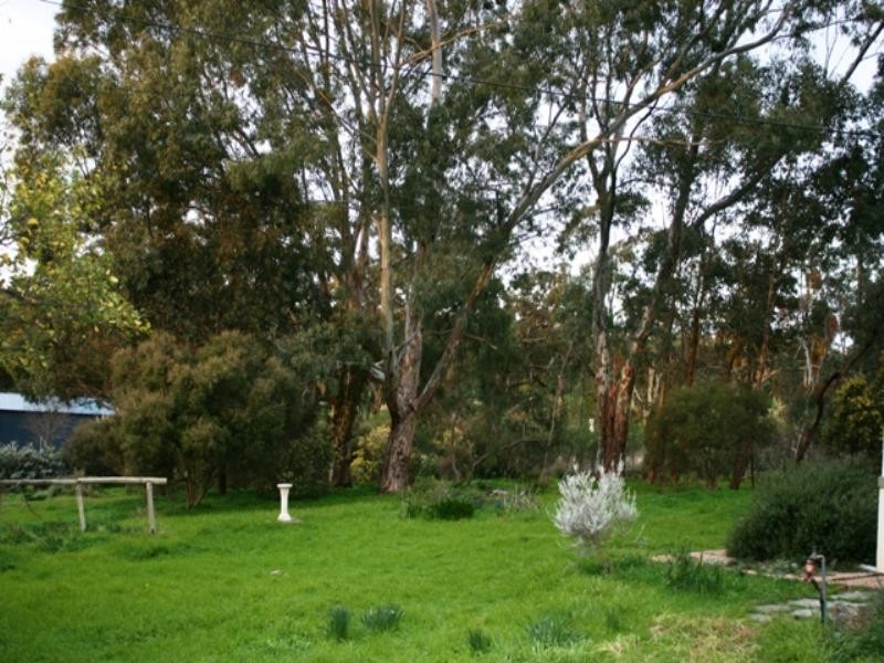 Lot 1 Main North Road, Sevenhill SA 5453
