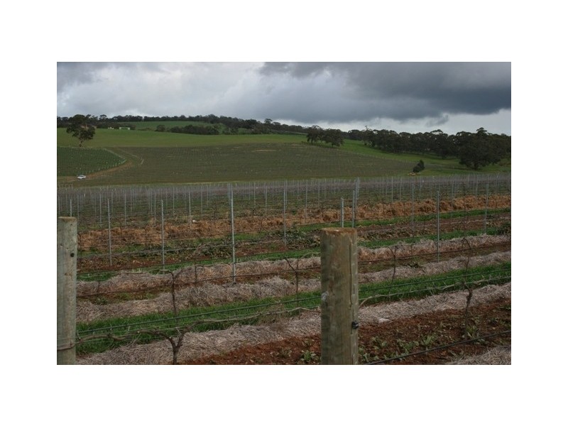 Lot 91 Lamkins Road, Auburn SA 5451