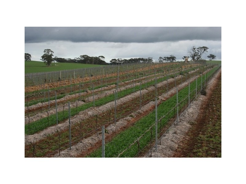 Lot 91 Lamkins Road, Auburn SA 5451