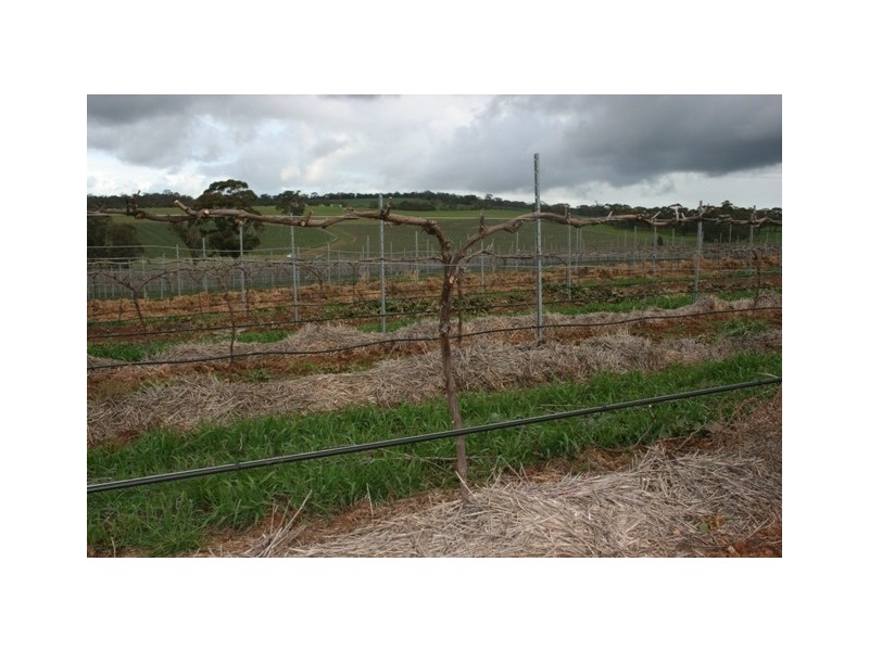 Lot 91 Lamkins Road, Auburn SA 5451