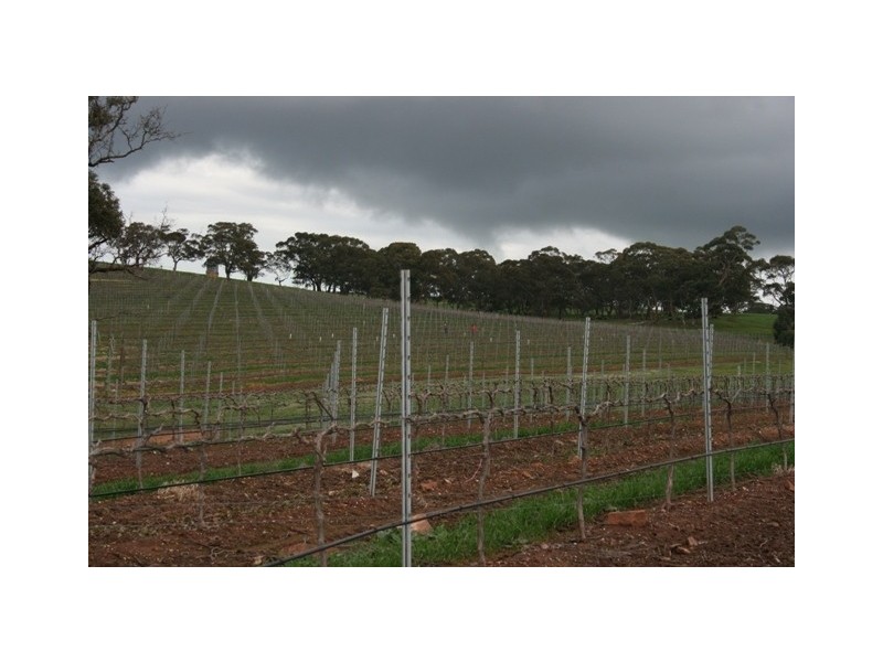 Lot 91 Lamkins Road, Auburn SA 5451