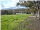 122 Cnr Main North Rd and Houghton Street, Clare SA 5453