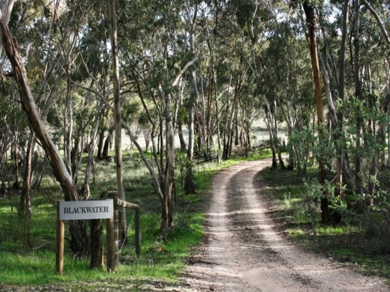 Lot 6 Emu Flat Road, Armagh SA 5453
