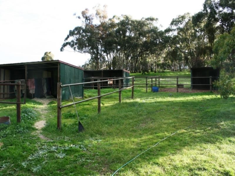 Lot 6 Emu Flat Road, Armagh SA 5453