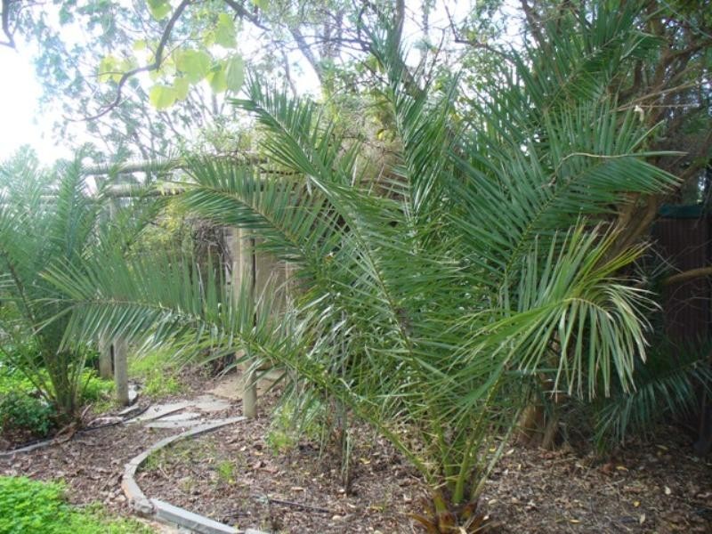 15 FISHER, Balaklava SA 5461