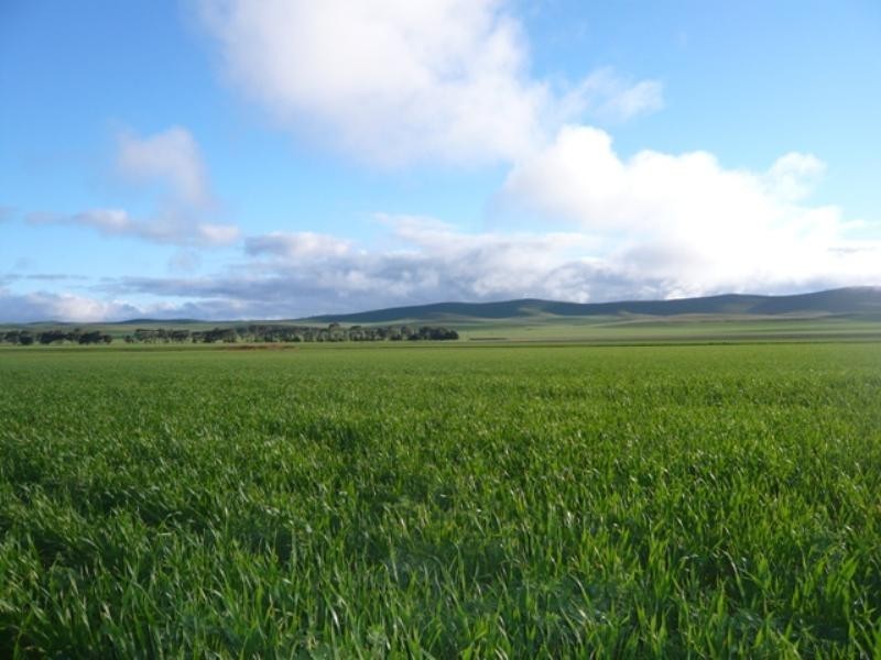 Farrell Flat SA 5416