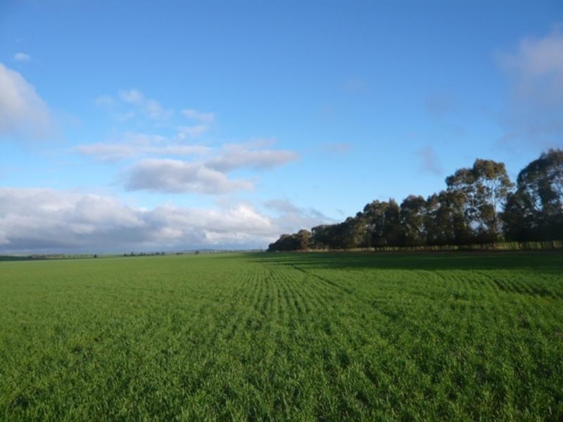 Farrell Flat SA 5416