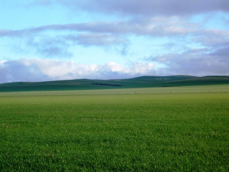 Farrell Flat SA 5416