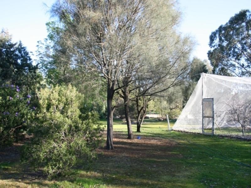 Lt 13 and 16 Harriet Street, Rhynie SA 5412