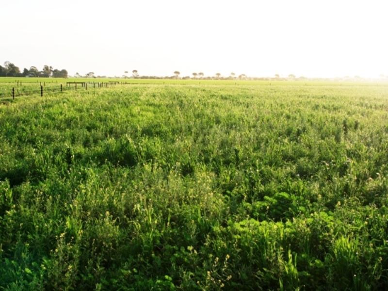 16 Race Course Road, Balaklava SA 5461