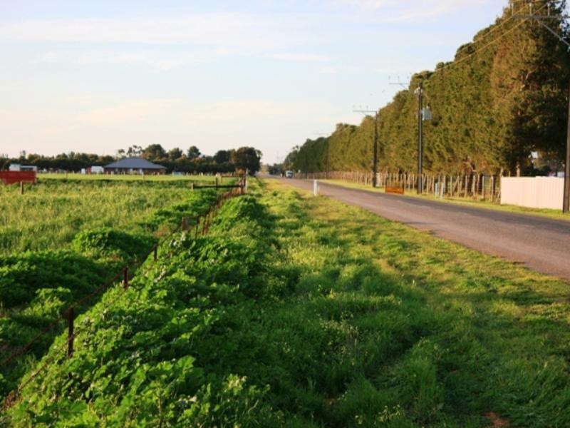 16 Race Course Road, Balaklava SA 5461