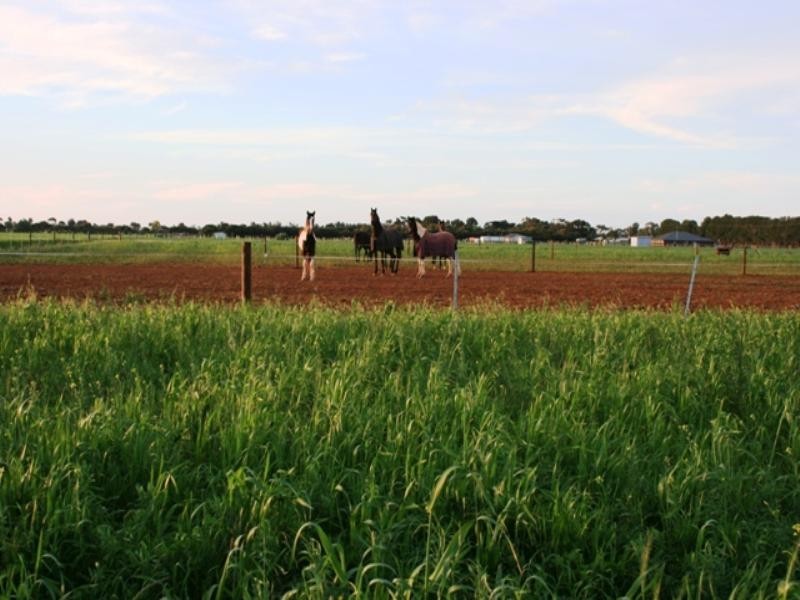 16 Race Course Road, Balaklava SA 5461