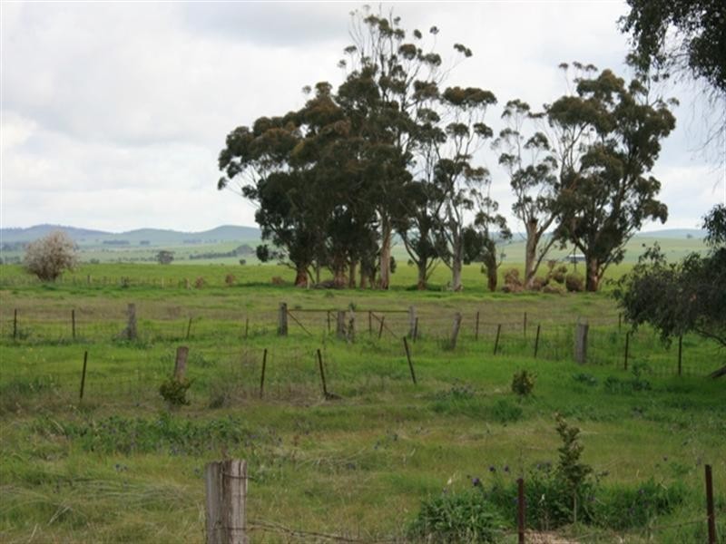 Lots 66-68 Napier Street, Farrell Flat SA 5416