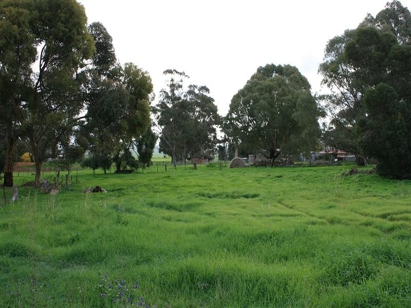 Lots 66-68 Napier Street, Farrell Flat SA 5416