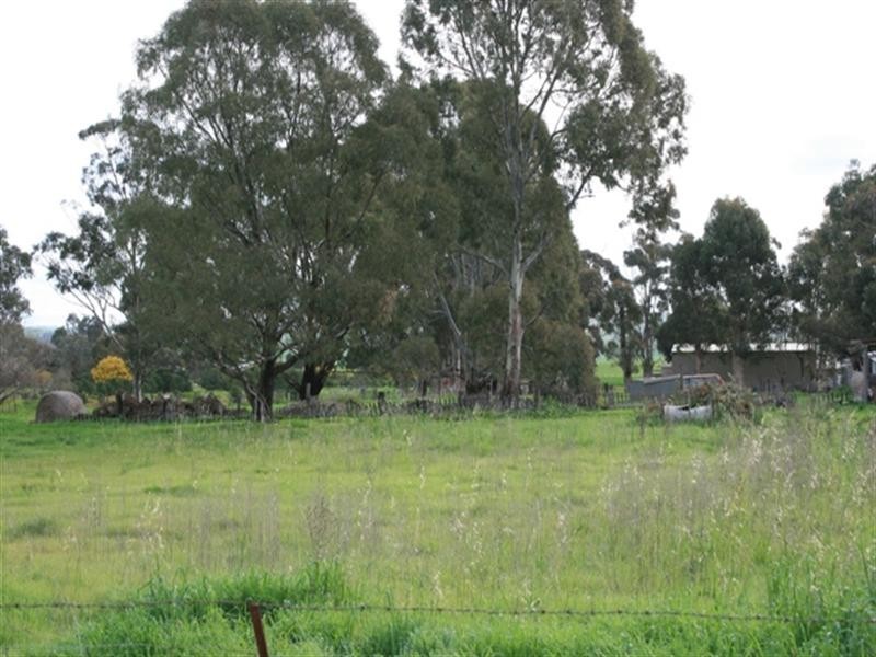 Lots 66-68 Napier Street, Farrell Flat SA 5416