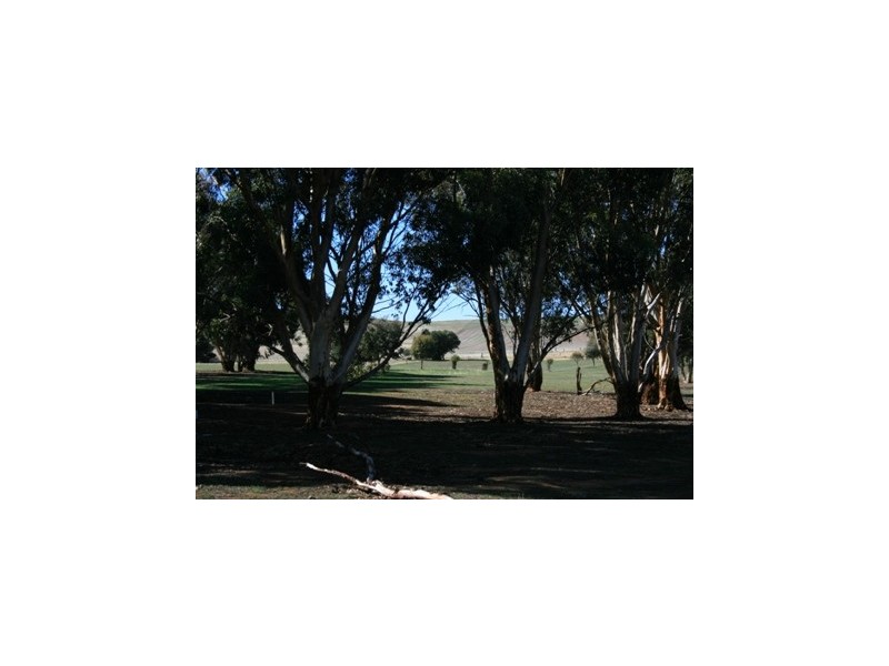 LOT 11 EAST Terrace, Farrell Flat SA 5416
