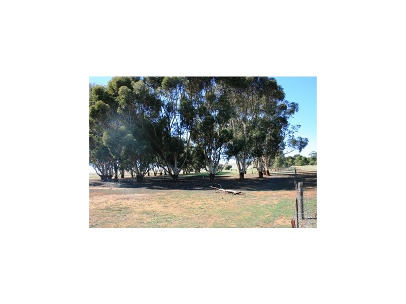 LOT 11 EAST Terrace, Farrell Flat SA 5416