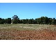 LOT 8 EAST Terrace, Farrell Flat SA 5416