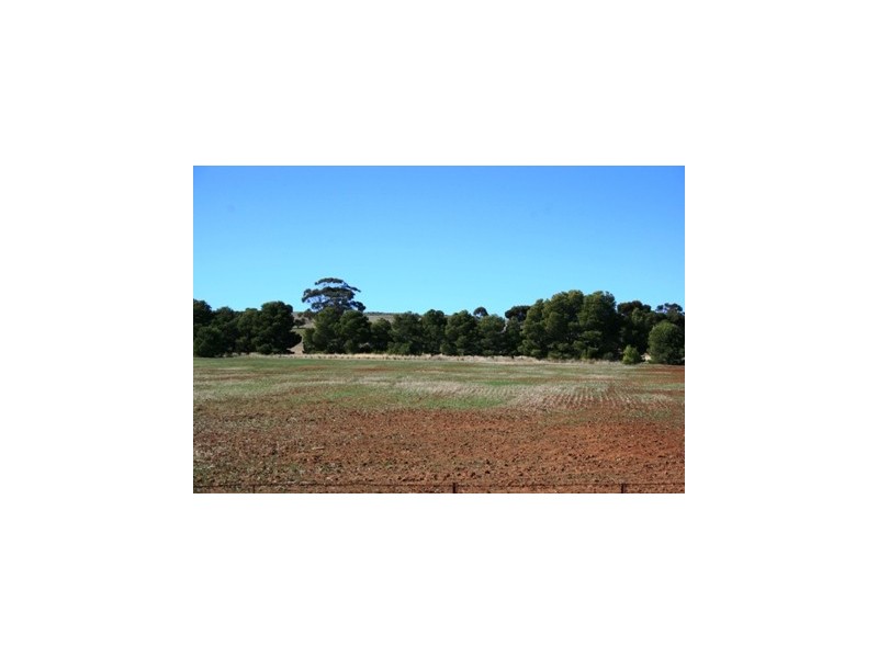 LOT 8 EAST Terrace, Farrell Flat SA 5416