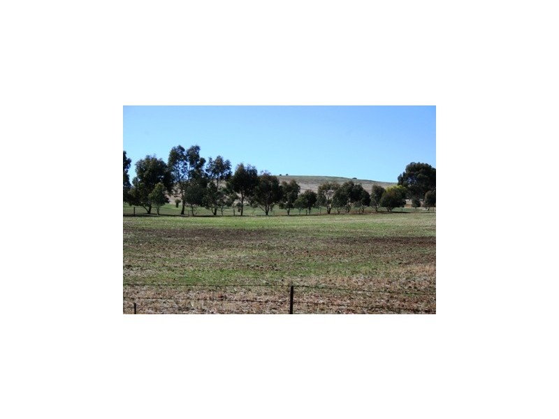 LOT 8 EAST Terrace, Farrell Flat SA 5416