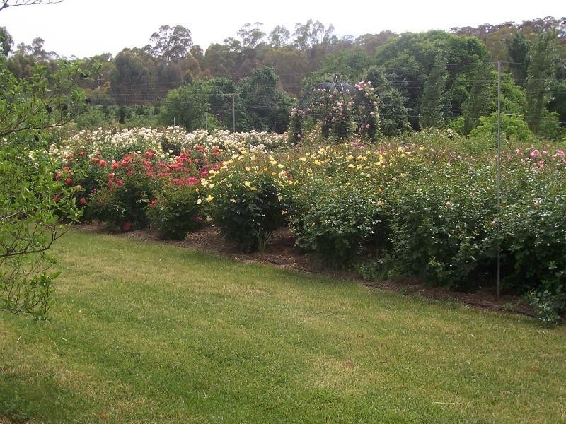 Clare SA 5453