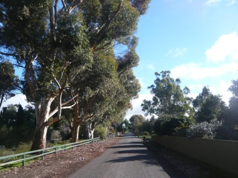 11 Daly Street, Auburn SA 5451