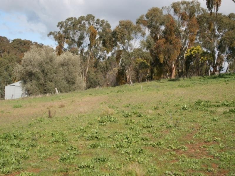24 Trezise Way, Clare SA 5453