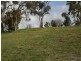 24 Trezise Way, Clare SA 5453