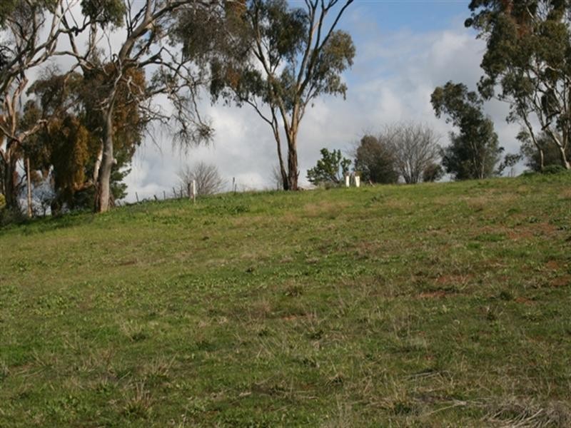 24 Trezise Way, Clare SA 5453