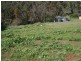 24 Trezise Way, Clare SA 5453