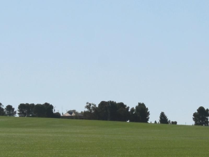 Lot 2 Old Coach Road, Gulnare SA 5471