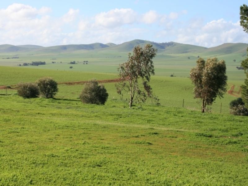 Lot 2 Old Coach Road, Gulnare SA 5471