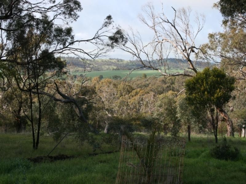 Sec 512 Government Road, Auburn SA 5451