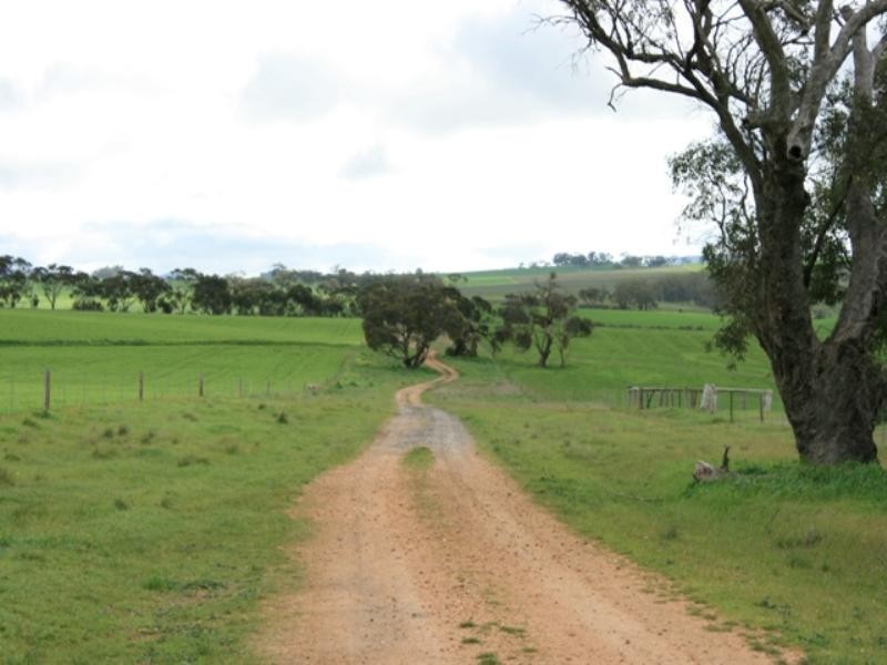 Sec 512 Government Road, Auburn SA 5451