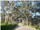 Lot 621 Emu Rock Road, Armagh SA 5453