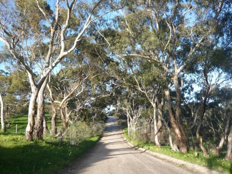 Lot 621 Emu Rock Road, Armagh SA 5453